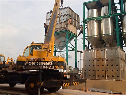 10ton_pequeña_planta_de_arroz_hervido_para_la_venta
