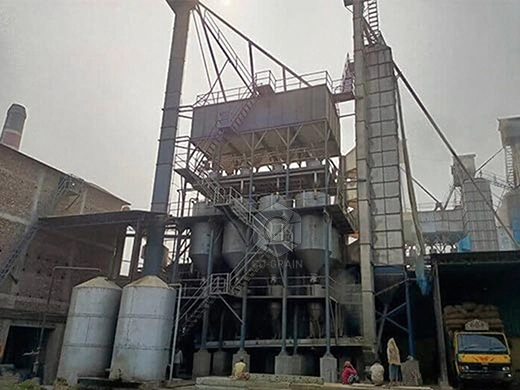 20ton_paddy_boiling_machines_precio