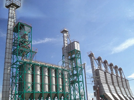 Planta_de_molino_de_arroz_hervido_de_50toneladas