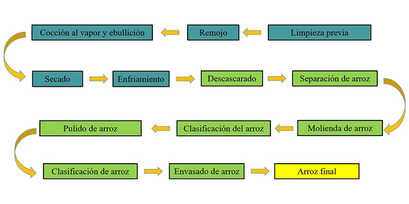 proceso_de_trabajo_de_la_planta_de_hervido_de_arroz