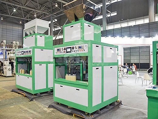 máquina_automática_de_envasado_al_vacío
