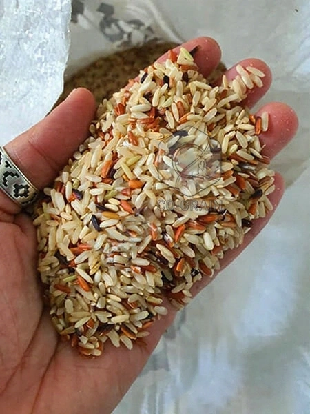 Molino_de_arroz_de_25toneladas_malasia