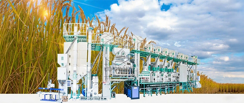 Planta_de_molino_de_arroz_100TPD