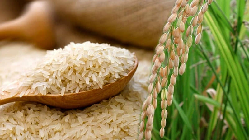 molinos_de_arroz_en_srilanka