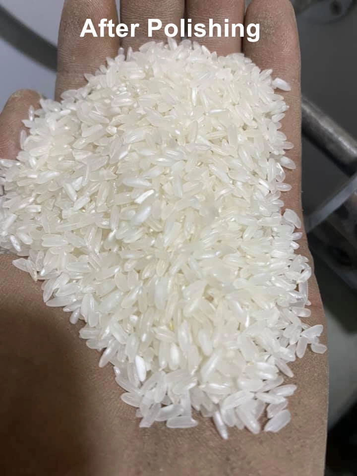 proveedor_de_pulidoras_de_arroz