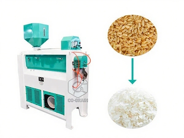pulidora_de_arroz_para_la_venta_en_la_línea_de_producción_de_molinos_de_arroz