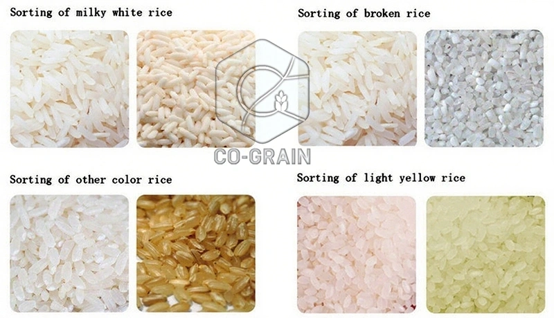 clasificador_de_color_de_arroz