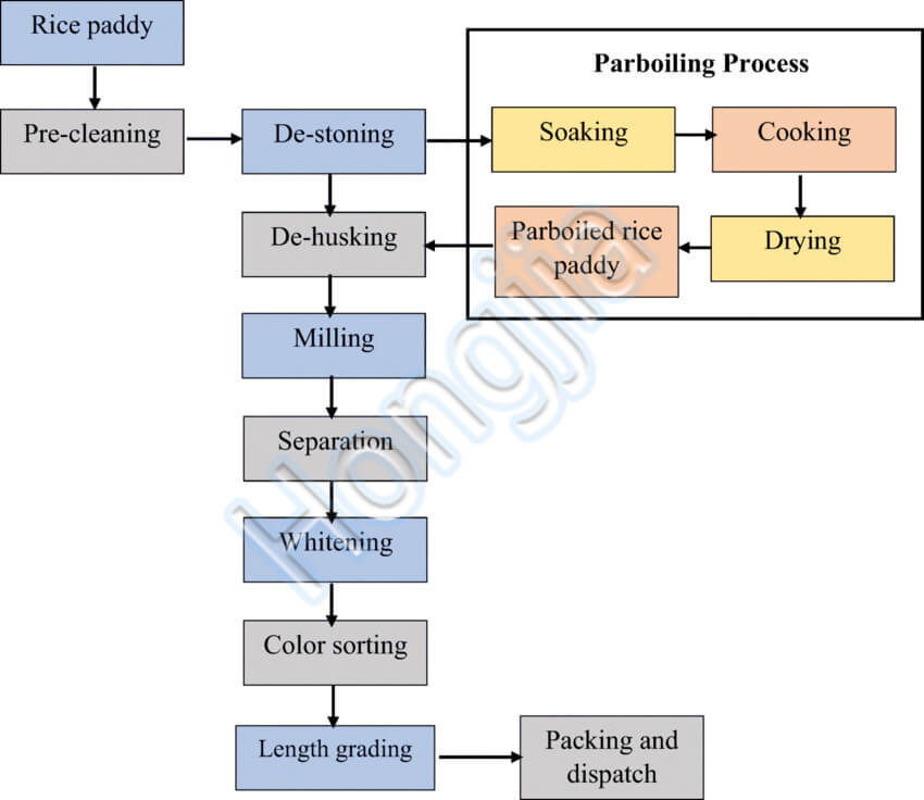 proceso_de_arroz_hervido