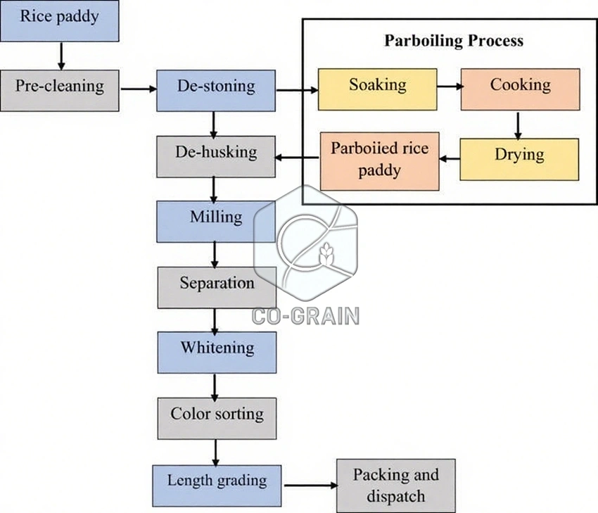 proceso_de_arroz_hervido