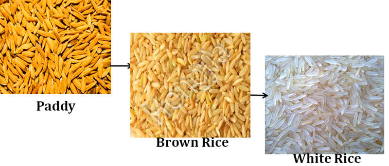 proceso_de_arroz_hervido