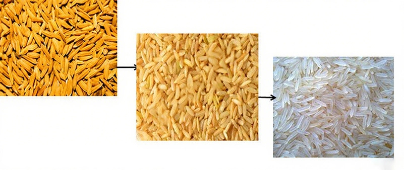 proceso_de_arroz_hervido