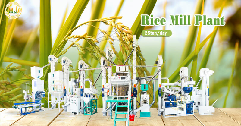 25tpd rice mill plant