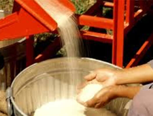how to set up a rice mill factory in nigeria