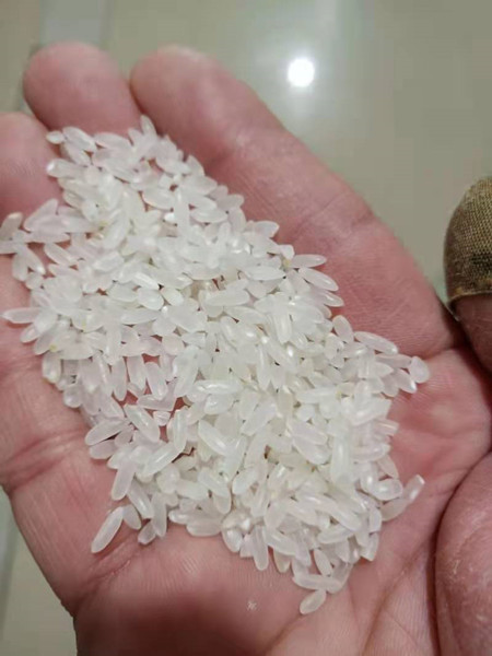 Cómo empezar Un negocio de molinos de arroz
