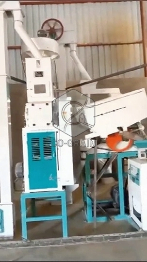 Máquina de molino de arroz 30TD en Malawi