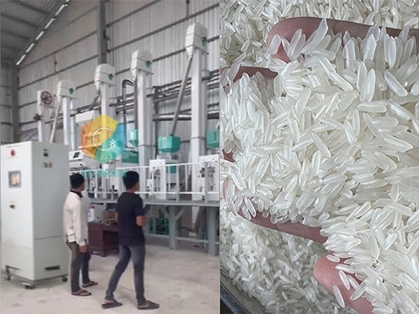 molino de arroz en Camboya