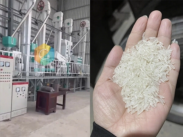 molino de arroz en Camboya