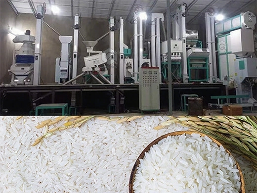Máquina_de_molienda_de_arroz_en_Uzbekistán