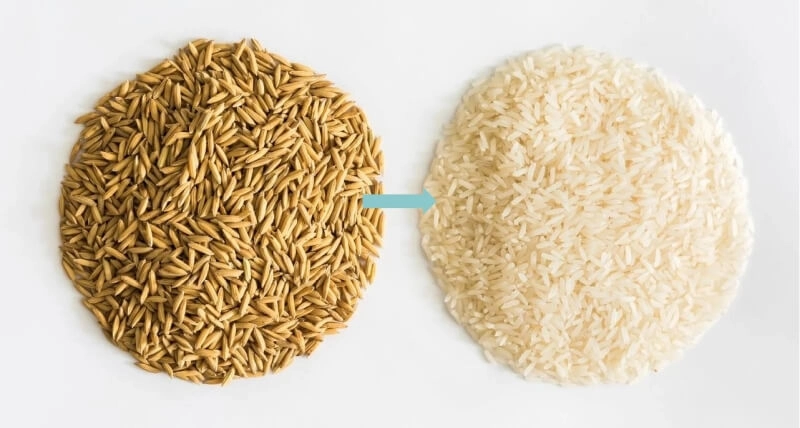Molino_de_arroz_de_60_toneladas_en_Uganda 4