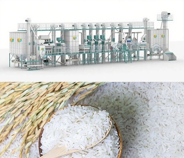 Molino_de_arroz_de_60_toneladas_en_Uganda 5