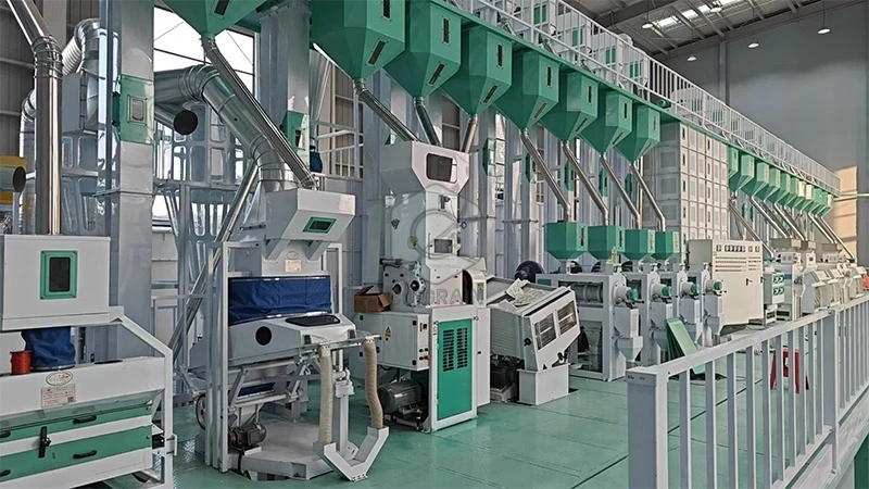 Máquina_completa_de_molino_de_arroz_de_100toneladas_por_día_Nigeria 3