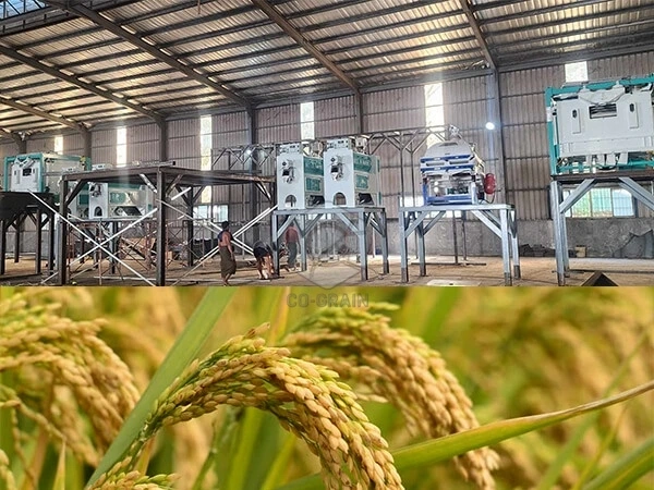 Se_instaló_con_éxito_una_línea_de_molienda_de_arroz_de_150_toneladas_por_día_en_Myanmar 3