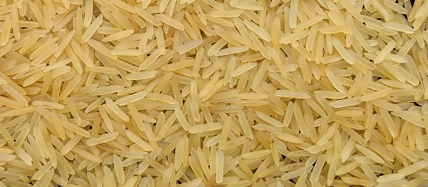 Planta de Procesamiento de Arroz Precocido en Nigeria