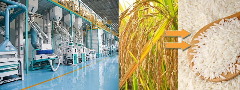 solución completa para planta de molienda de arroz