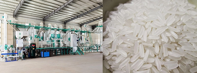 solución completa para planta de molienda de arroz