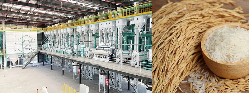máquina completa de procesamiento de arroz