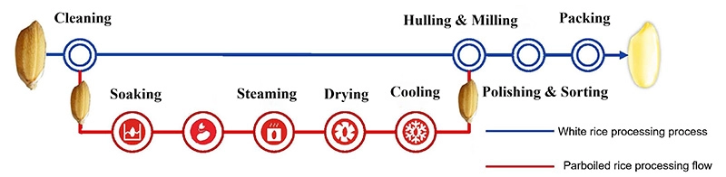 proceso de producción de arroz precocido