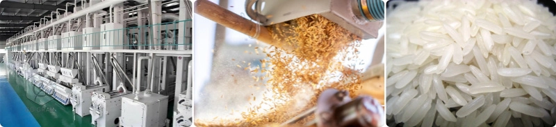 solución para planta de molino de arroz