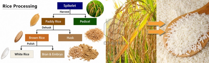 solución para planta de molino de arroz
