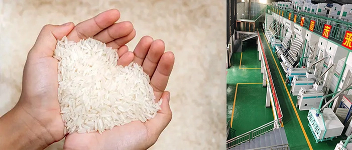 equipo de molienda de arroz
