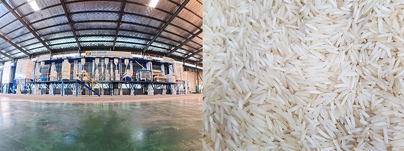 iniciar planta de molienda de arroz