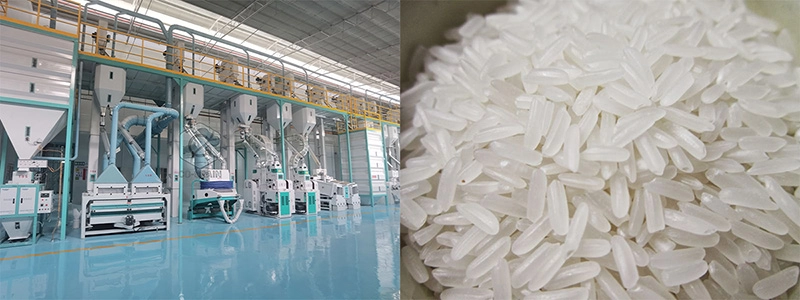 iniciar planta de molienda de arroz