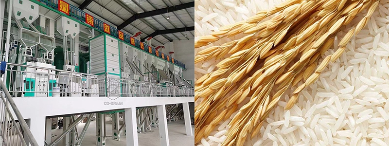 iniciar planta de molienda de arroz