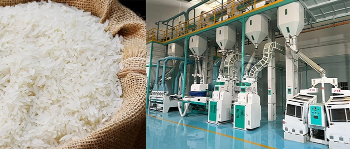 planta de molino de arroz