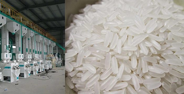 planta de molino de arroz