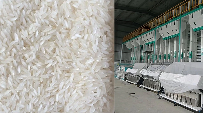 planta de molino de arroz